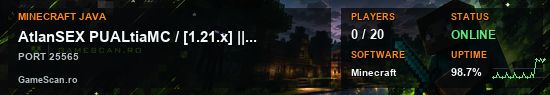 Banner Minecraft