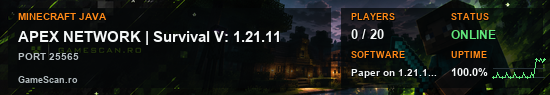 Banner Minecraft