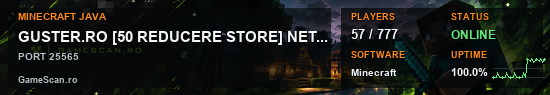 Banner Minecraft